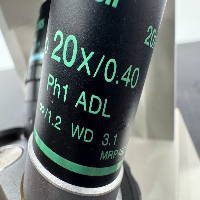 Nikon Eclipse TS100 Inverted Microscope image 3